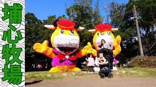 【旅遊咖啡#69】埔心牧場 4K video