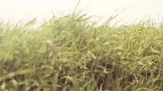 Basic effects in Premiere Pro. Artist Lydia Stolbunets.