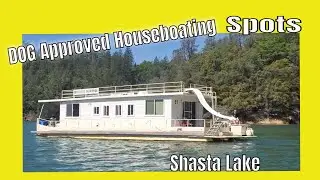 The Beauty of McCloud Arm - Houseboating  Spots  #shastalake #houseboating
