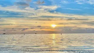 Florida Sunsets 🌅🇺🇸