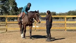 Lesson Caitlin & Frankie her horse! 1/29/2026