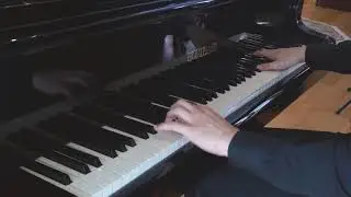 Franz Schubert: Fantasie C Major D934.   Elina Sitnikava violin; Enrique Lapaz piano