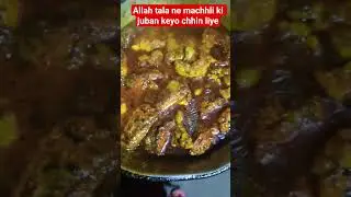 allah taala machhli ki juban keyo chhin liye #islamicshorts #rajiyasultan