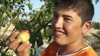 YÖRÜK KÜLTÜRÜ