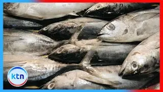 Civil society pushes for tougher fisheries enforcement to protect Kenya&rsquo;s blue economy
