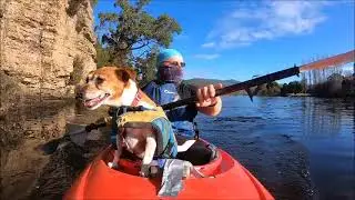 Kayaking Derwent River 23/ 5 /25 Trip 946 reel