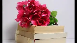 Decorating Your Wedding With Book Centerpieces