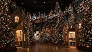 Dreamcore ambient music / Liminal space : Duncan's Toy Chest in the movie Home Alone