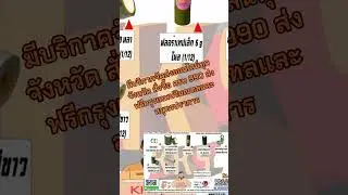ใครกำลังมองหาเทปหลายขนาดไว้ทำก้านดอกไม้ไม่ควรพลาดซื้อทีี KKSOFFICE