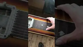 Sho-bud Pedal Steel Guitar 2