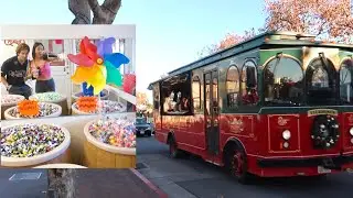 day trip w/ us | oxnard, solvang, sb