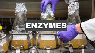 Enzymes(1) | Explained| Biochemical & Bioprocess Engineering