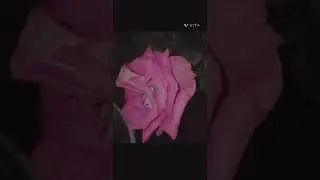 Mohabbat dil ka sukoon mohabbat dil ki tadap hai intezaar aap ki aankhon mein pyar 🥰💝❤