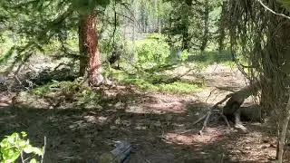 Walking to Jefferson Creek