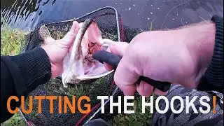 The right tools save fish - Pike fishing cutting the hooks