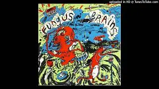 1986 MELBOURNE AUSTRALIA PUNK SKRONK Fungus Brains 
