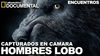 DOCUMENTAL DE HOMBRES LOBOS  CAPTURADOS EN CAMARA