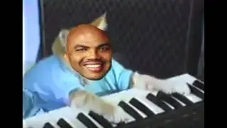 Slam Cat - Space Jam and Piano Cat REMIX