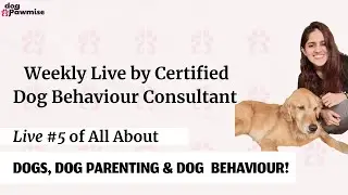 All About Dogs, Dog Parenting & Dog Behaviour - Live #5