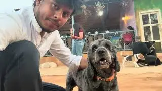 A Day at Bangalore Dog Park 🐶 | Doggo Paradise!