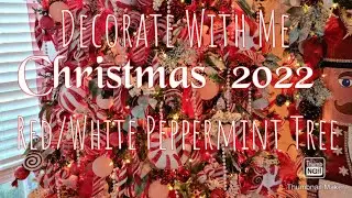 Decorate With Me Christmas  2022 Red& White  Peppermint Tree On A Budget!