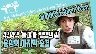 [4人4色] 돌과 새 생명의 길, 생명을 다한 용암과 인간의 새로운 삶