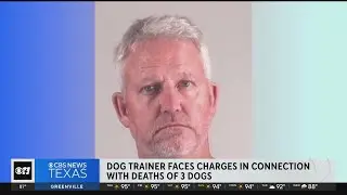 Dog trainer Alan Brown facing facing felony animal cruelty charges