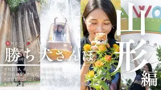 【ジェフサポ山形遠征観光編】弾丸山形遠征完結編✨「ユニティと行く勝ち犬さんぽ🐶」祝第１弾😊瓜割石庭公園・リナワールドで大暴走無免許運転などなど、、、これだから遠征はやめれません🔥是非ご覧ください💫