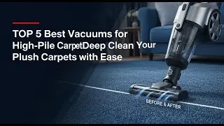TOP 5 Best Vacuums for High-Pile Carpet 2026 | Deep Clean Your Plush Carpets with Ease