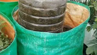 # grow bag ( ग्रो बैग) टेरेस गार्डन में # grow bag use for terrace gardening # Meri Bagiya Vlogs ❤️