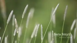 Grounding Body Scan for Stress | Gentle Nervous System Reset