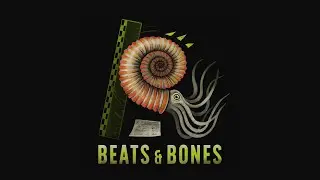 Beats & Bones live: Fossilien – Sammlung in Museen