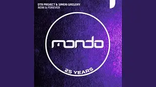 Now & Forever (Radio Edit)