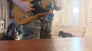 4 way switch with tone bypass Harley Benton TE52
