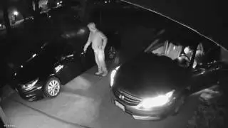 Suspects steal gun from unlocked car