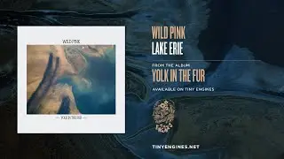 Wild Pink - Lake Erie