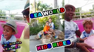 Sea World Gold Coast #seaworldgoldcoast #touristattraction  #goldcoast
