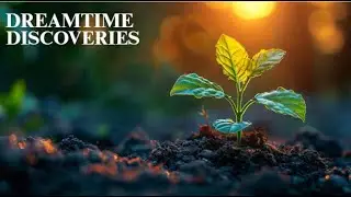 &ldquo;How Plants Talk, Breathe, and Fight Back | Nature&rsquo;s Hidden Language&rdquo;