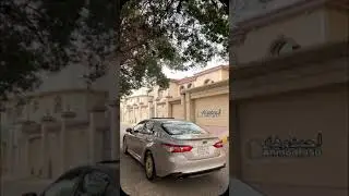 دبكة انا حبيت بحياتي موبس مره