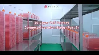 10-Layer Cell Factory Series Operation Guide (Part 2) | Filling, Transfer & Final Steps