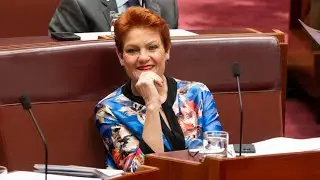 &lsquo;Interesting idea&rsquo;: One Nation proposes splitting taxable income to lower family taxes