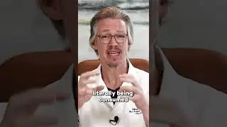 БИТВА С РУБЦОВОЙ АЛОПЕЦИЕЙ. ПОЧЕМУ ВОССТАНОВЛЕНИЕ КАЖЕТСЯ НЕВОЗМОЖНЫМ
