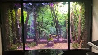 Indoor forest-themed aviary for finches