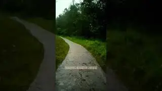 Hutan Gunung Merapi  #merapiterkini #hutanangker #merapierupsi #hororterbaru2023