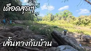 เดือดสุดๆกลับบ้านรอบนี้หมานส่งทางกับบ้าน//พรานจิต คนหากิน//