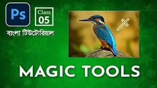 Magic Wand, Quick & Object Selection Tools | Class 5 | Photoshop Tutorial for Beginners
