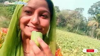 ধান শুকানো, কুত কুত খেলা আর খেতে যেয়ে খিরাই খাওয়া এই গাম্য আনন্দ শহরে পাওয়া যায় না।