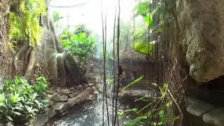 360&deg; Butterfly Exhibit in Virtual Reality (VR)