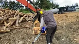 Test cutting with a holzfforma g365