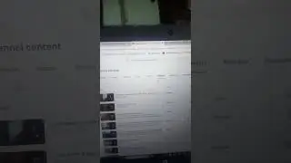 UPDATE: The Reason Why 